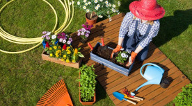 6 dicas para deixar seu jardim mais incrível